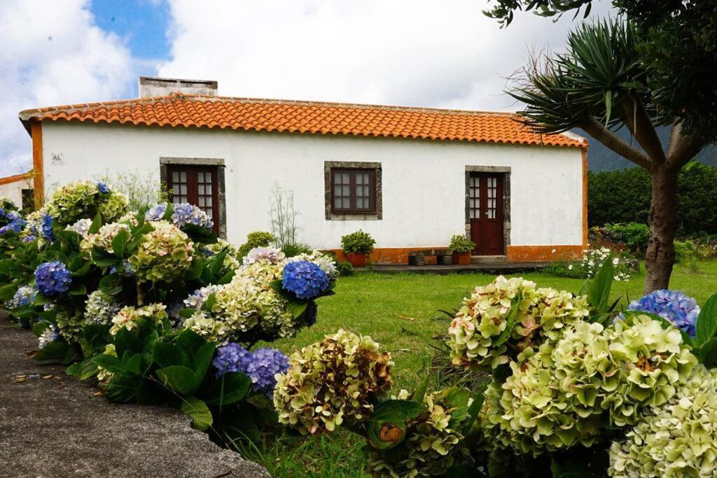 Villa Casa Via D'Agua In Faja Grande Esterno foto